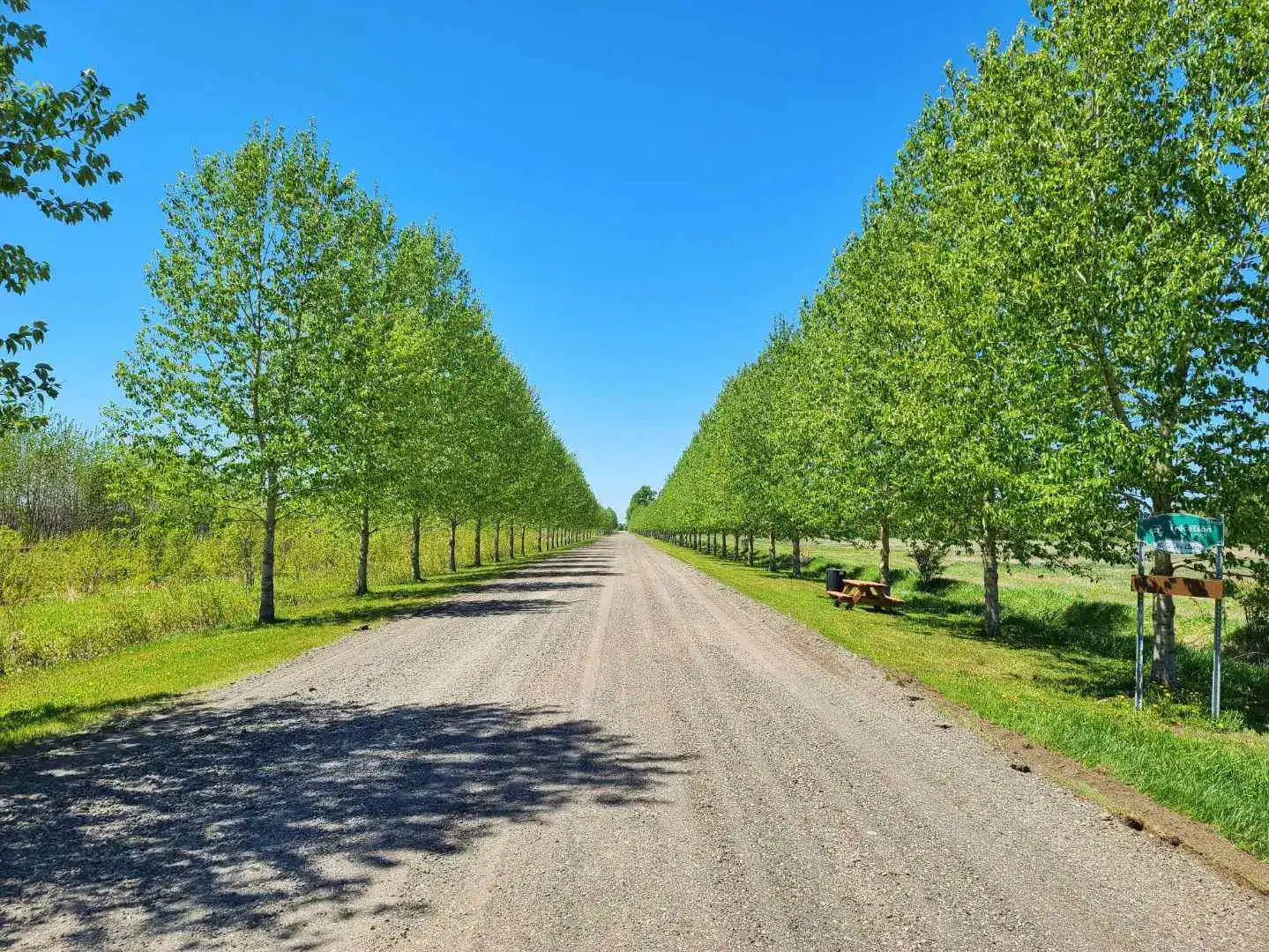 projet de rechargement de 172 100 tonnes sur 52km 02